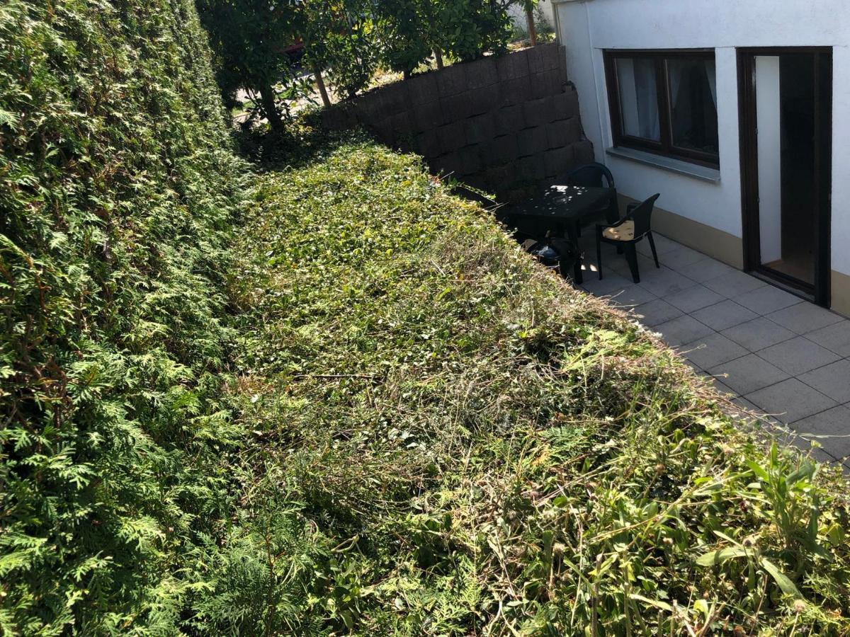 Ferienwohnung Familie Hinrichs Dorn-Durkheim ภายนอก รูปภาพ